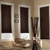 Color Chestnut. thumbnail 3