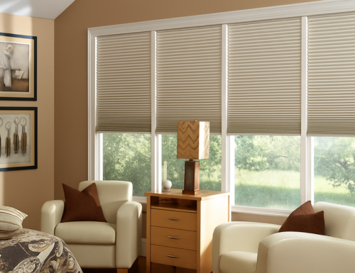 Cordless Basics 3/4" Blackout Cell Shades
