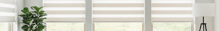 Dual Layered Zebra Shades image