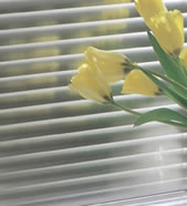 Aluminum / Vinyl Mini Blinds