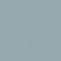 Vibrant Modern Gray