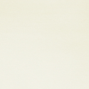 Standard Cream (Translucent)