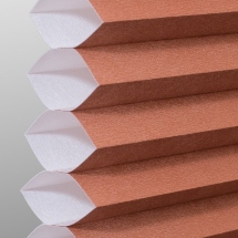 Terra Cotta