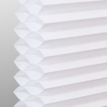 Cotton