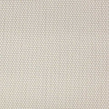 1% Open - Ivory