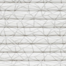 Fractured Gray Wing