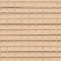 Seashell Soft Blush