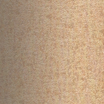 Dorado Maize