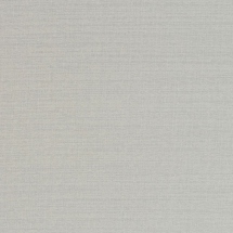 Raw Silk Crepe Silver
