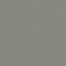 Immersive Modern Gray