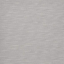 Tahoe Gray Kitten