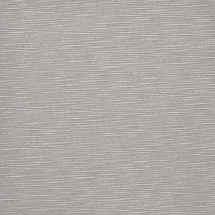 Tahoe Gray Kitten