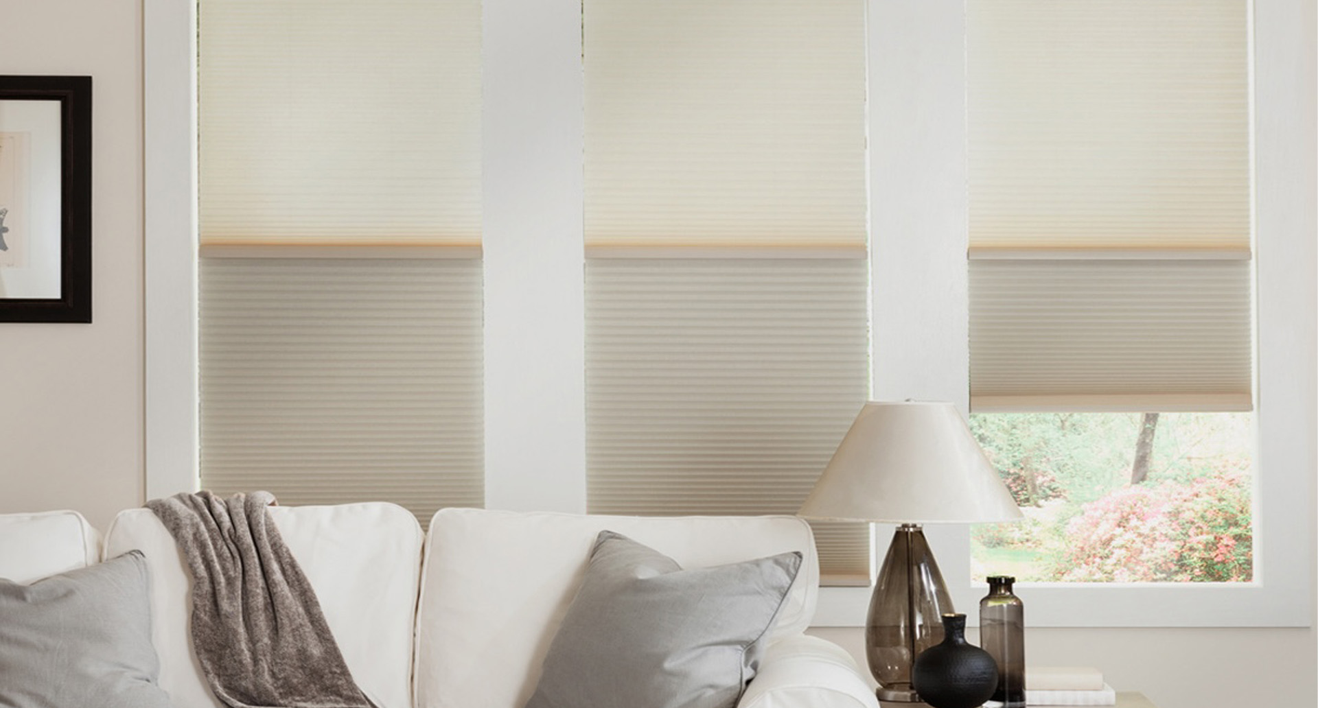 Day/Night Shades vs. Other Window Treatments: A Comprehensive Comparison image
