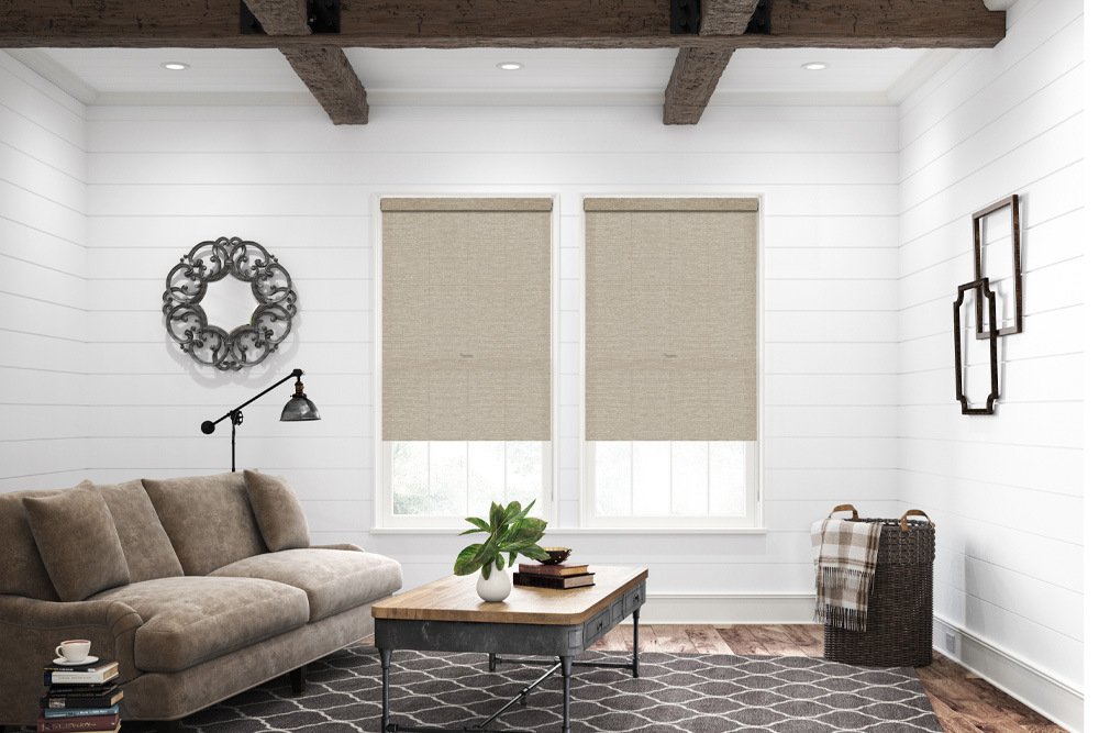Designer Roller Shades: Custom Styles, Fabrics, and Modern Window Treatments image