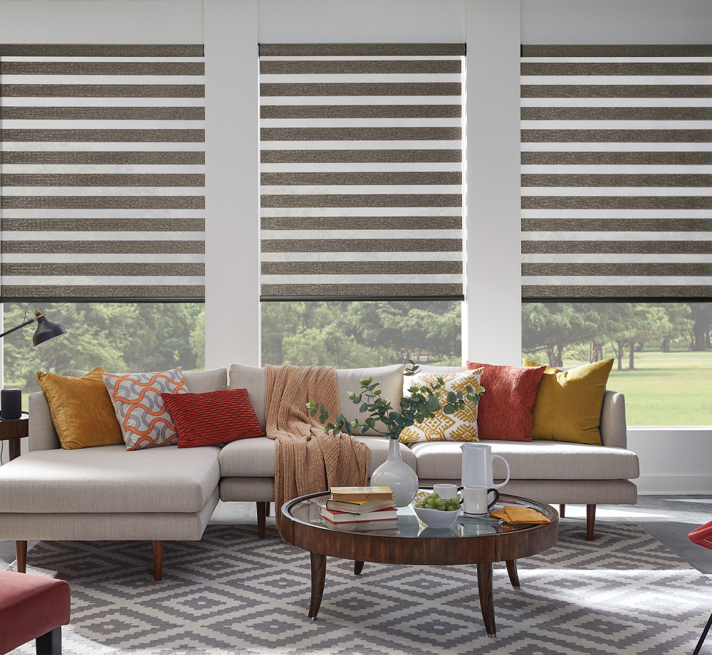 Pros and Cons of Sheer Shades image