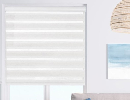 Light Filtering Zebra Shades Color Preview